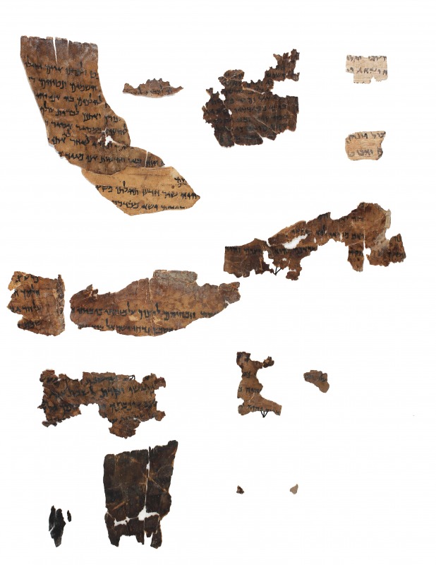 IAA Plate 261 (January 2012). Photo: Shai Halevi. Courtesy of the Israel Antiquities Authority.