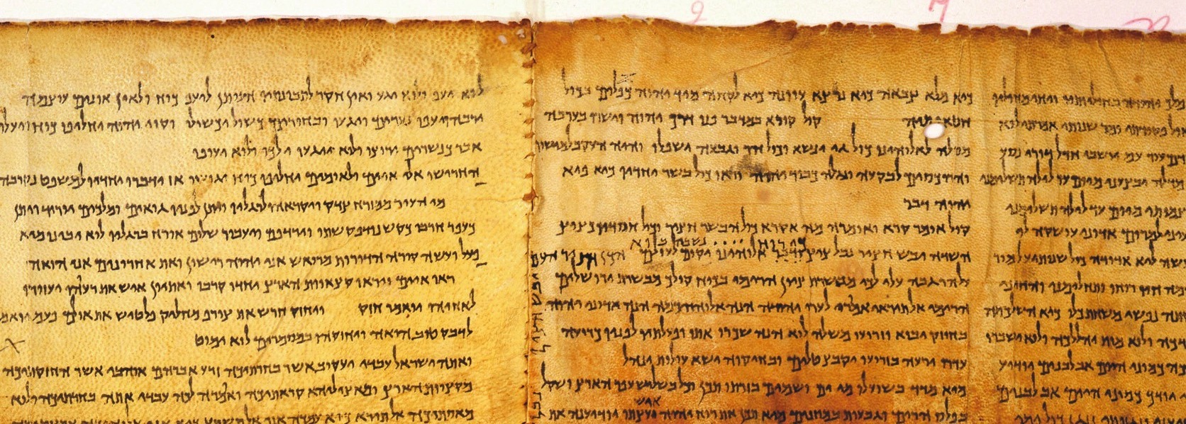 Great Isaiah Scroll (1QIsa-a). Phot: David Harris. Courtesy of the Israel Museum, Jerusalem
